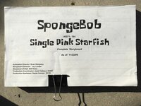 Single_Pink_Starfish.jpg