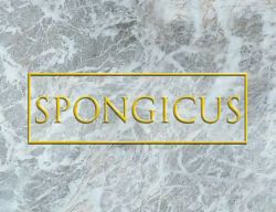 Spongicus
