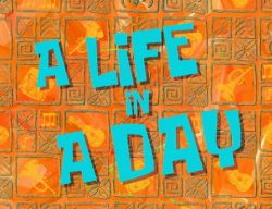 A Life in a Day