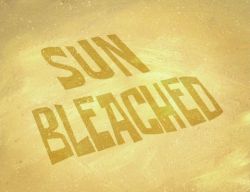 Sun Bleached