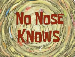 No Nose Knows