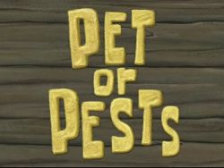 Pet or Pests