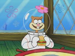 Spongebuddy Mania Spongebob Transcripts Someone S In The Kitchen With Sandy