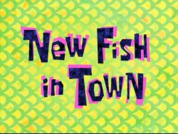 New Fish in Town