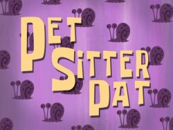 Pet Sitter Pat
