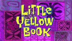 Little Yellow Book