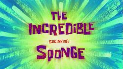The Incredible Shrinking Sponge