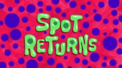 Spot Returns
