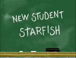 New Student Starfish