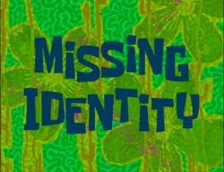 Missing Identity
