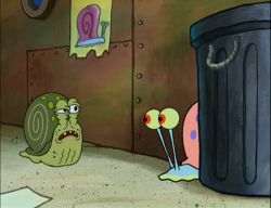 SpongeBuddy Mania - SpongeBob Episode - Have You Seen This Snail?