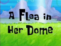 A Flea in Her Dome