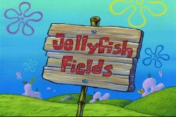 Jellyfish Fields PSA