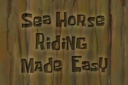 Sea Horse Riding Made Easy